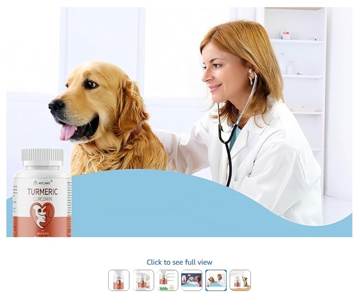 Dog Pain Relief Made Simple: Turmeric for Dogs 