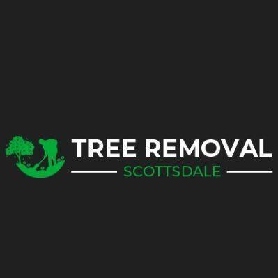Tree Removal Scottsdale