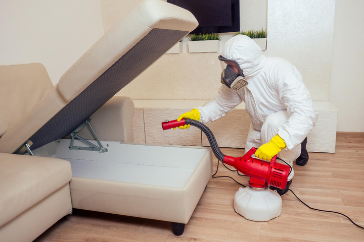 What Are the Benefits of 24 Hours Pest Control for Your Family