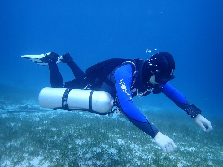 The Function of Wetsuits