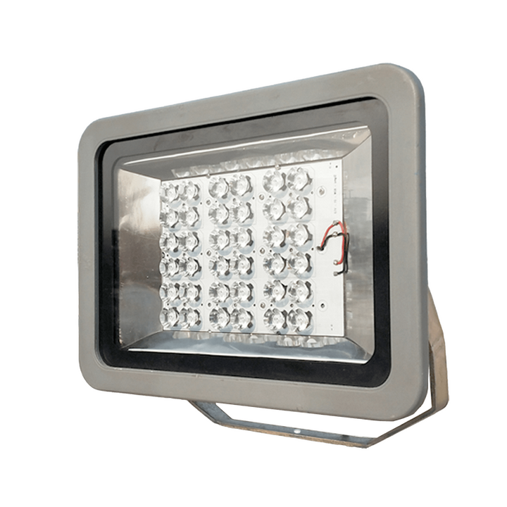 How to Use LED Flood Lights to Enhance Your Garden or Backyard