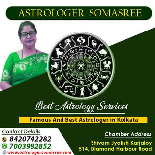 Read Your Palm like Never Before – Kolkata's Best Palmist Expla