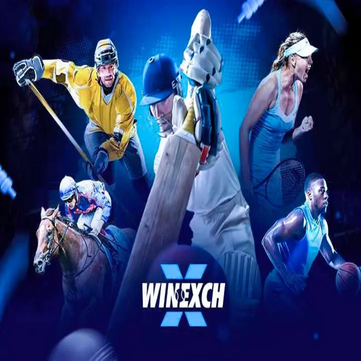 Winexch Game: A Complete User Guide to Features, Gameplay, and 