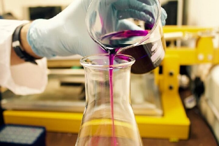 Obesity Models: The Essential Tools Unlocking Next-Generation T