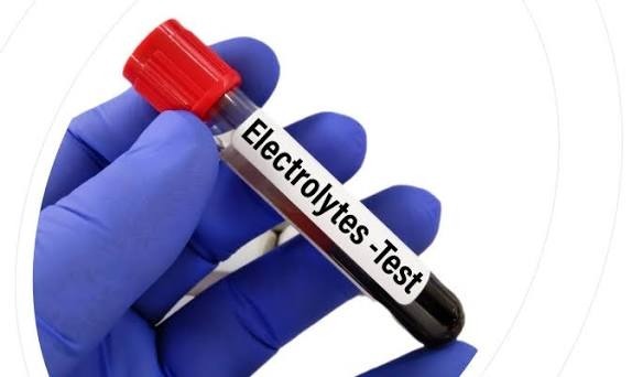 Understanding the Serum Electrolytes Test Price