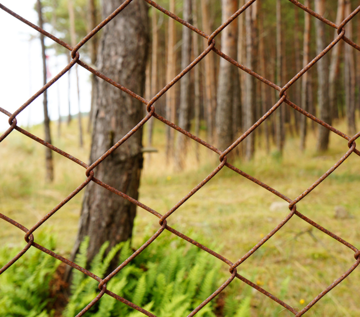 Why Hiring a Licensed Fencing Contractor in Gosford Matters