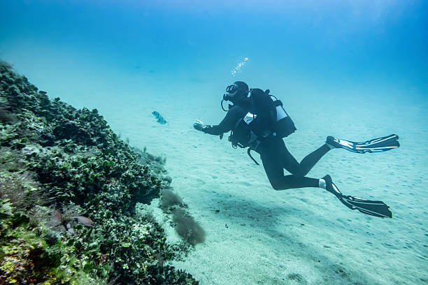 How Wetsuits Are Made