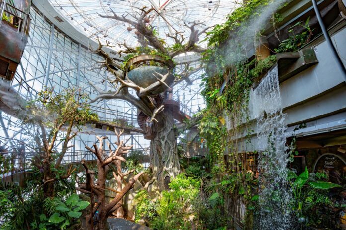 The Green Planet Dubai: A Unique Family Escape Beyond the Usual