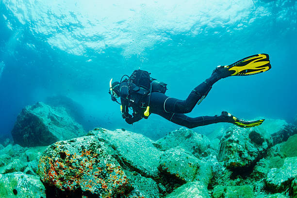 The Key to a Great Wetsuit Experience: Fit and Care