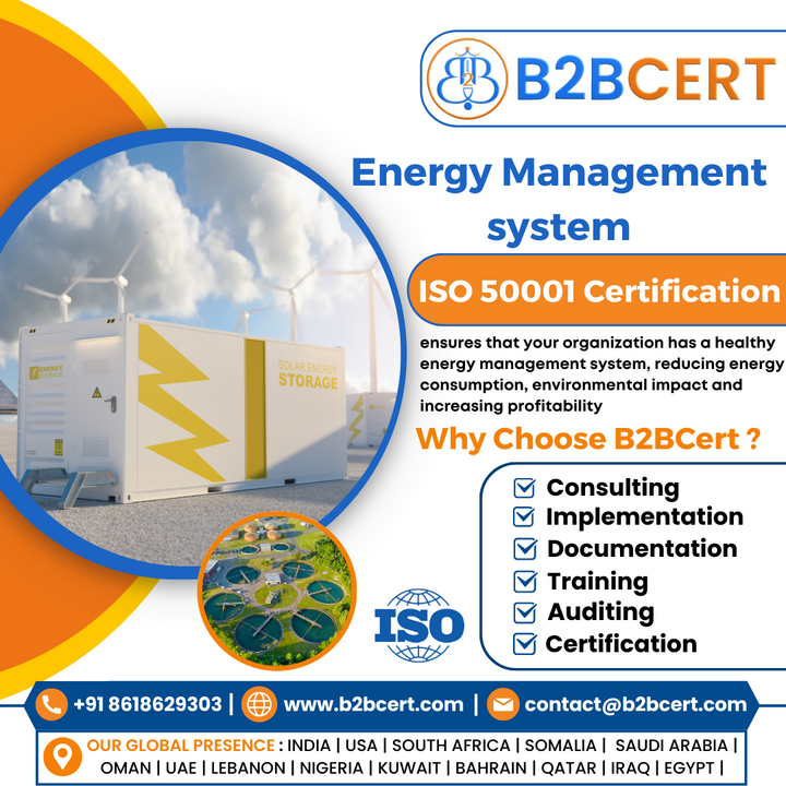 How Can an Organization Establish Energy Objectives and Targets