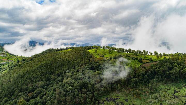 Buy House in Coonoor A Complete Guide to Peaceful Living in the