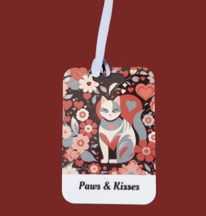 From Function to Fashion: Exploring Cat Bag Design, Thoughtful 