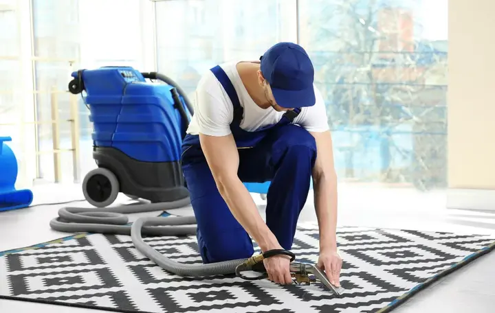 The Science Behind Professional Deep Carpet Cleaning