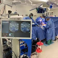 Endoscopic Minimally Invasive Spine Surgery