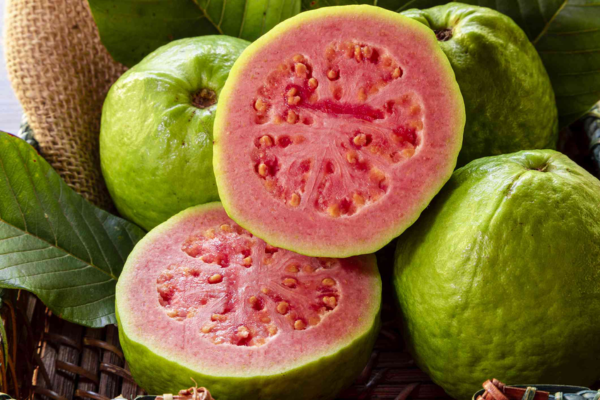 Guava benefits the heart and diabetes