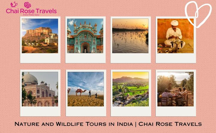 Nature and Wildlife Tours in India | Chai Rose Travels