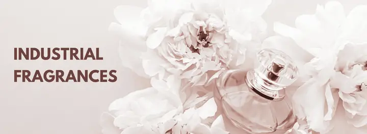 Top Fragrance Manufacturer in India