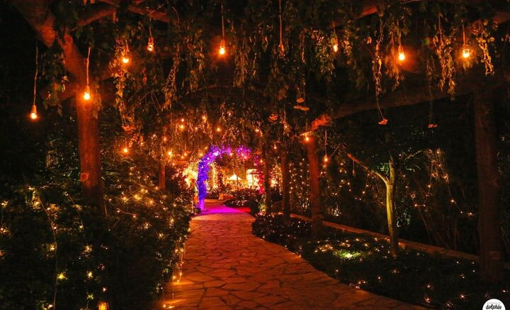 Corporate Events in Jim Corbett | The Roar Resort