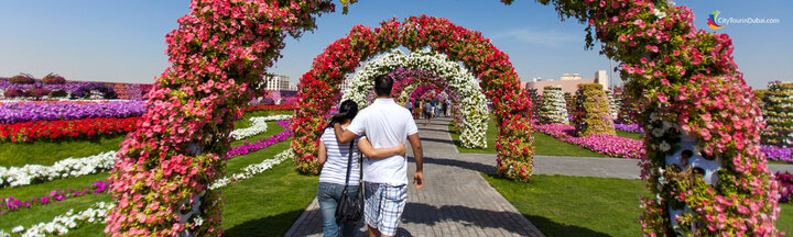 Dubai Miracle Garden Entry Tickets | Book Now &amp; Skip-The-Line