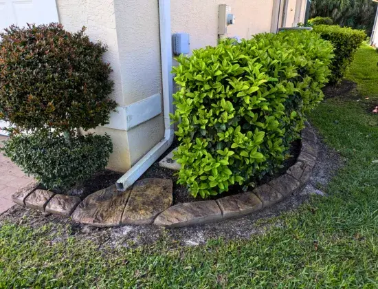 Concrete Landscape Edging &amp; Custom Curbing