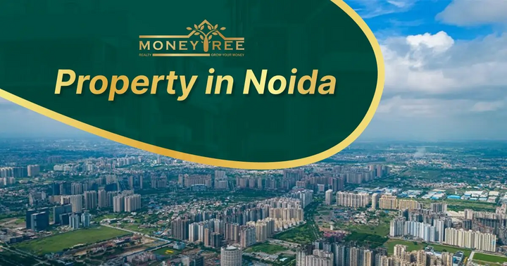 Property in Noida - RERA Verified Projects | MoneyTree Realty