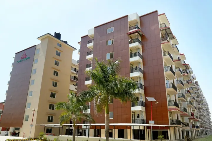 GTM Forest Lavana - GTM