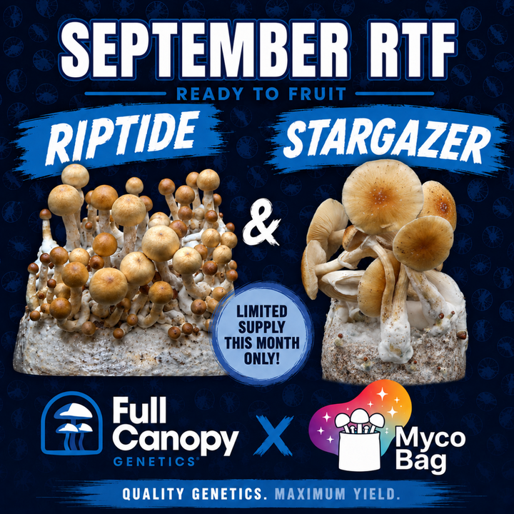Ready to Fruit Mushroom Bags Bundle | Full Canopy