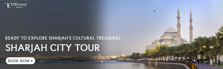 Sharjah City Tour from Dubai - Full Day Trip with Pickup &amp; Drop