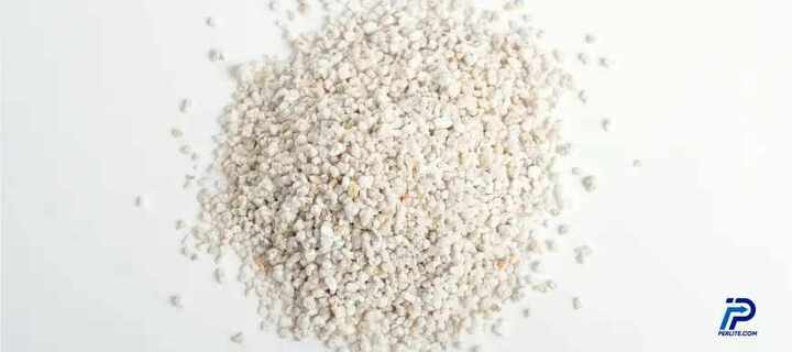 Can You Use Cat Litter as Perlite? A Smart Buying Guide for Oreg