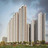 Prestige  Evergreen