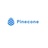 Pinecone Technology Limited