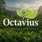 Octavius Tea Resorts