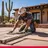 Masonry contract Tucson AZ
