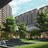 Prestige Evergreen