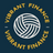 Vibrant  Finance
